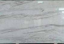 WHITE VENUS DALMACIA