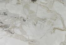 FANCY  (SINTERED STONE)