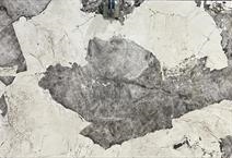 PANDORA  (SINTERED STONE)